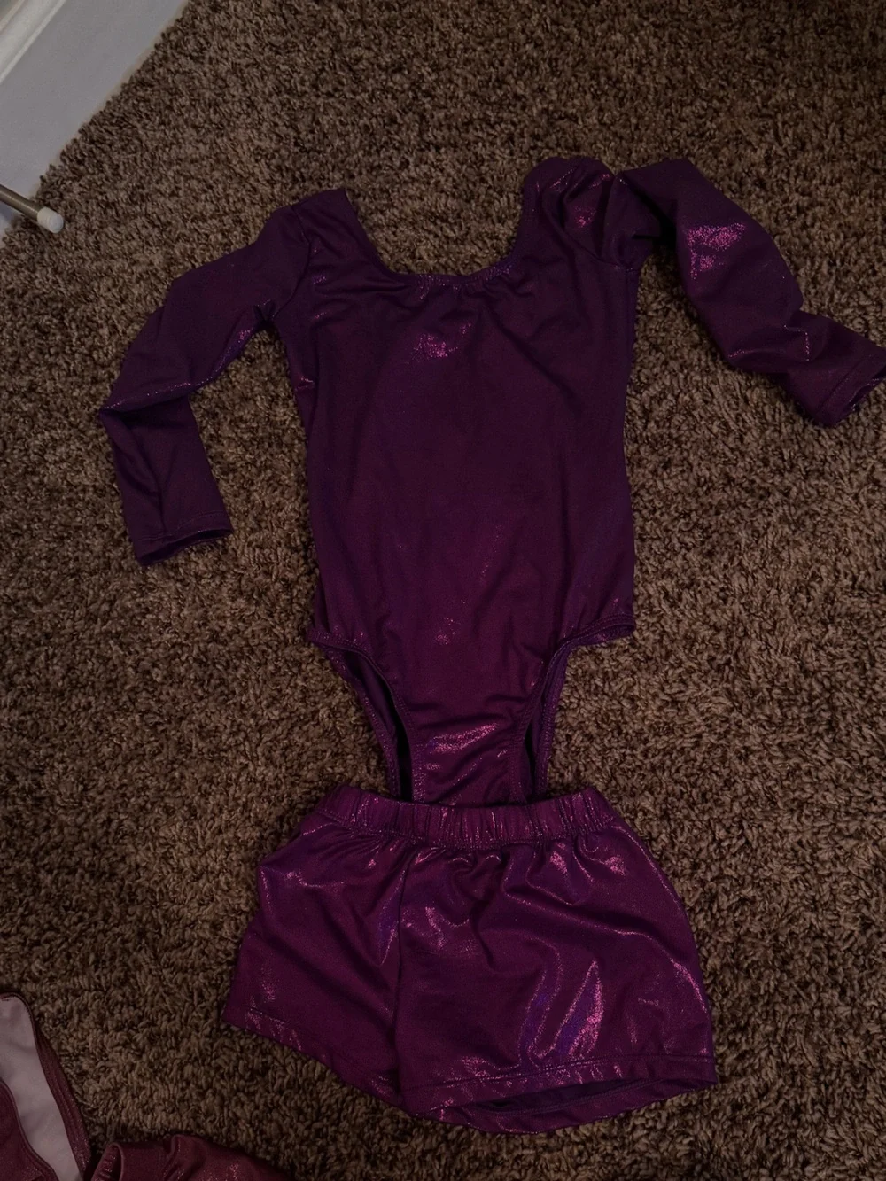 Purple Shimmer Dance Leotard with Skirt